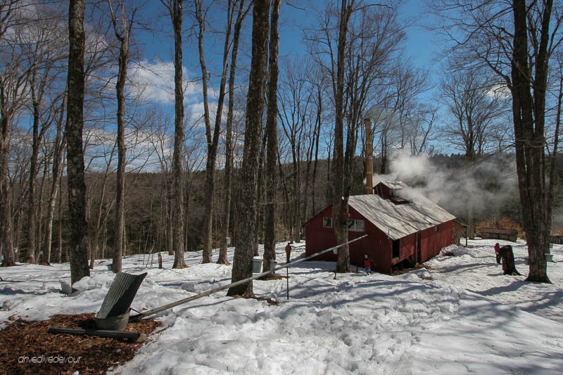 Maple Hill Farm in Vermont