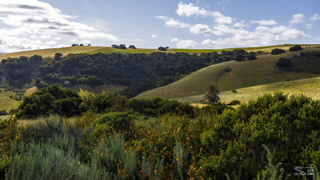 Hills in Toro County Park in Salinas, CA Central Coast CA