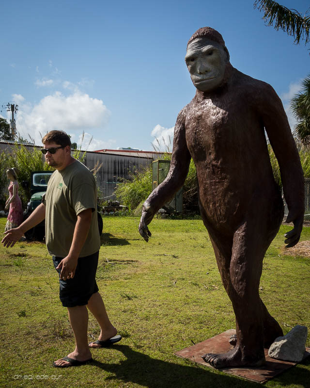 What’s a Skunk Ape?